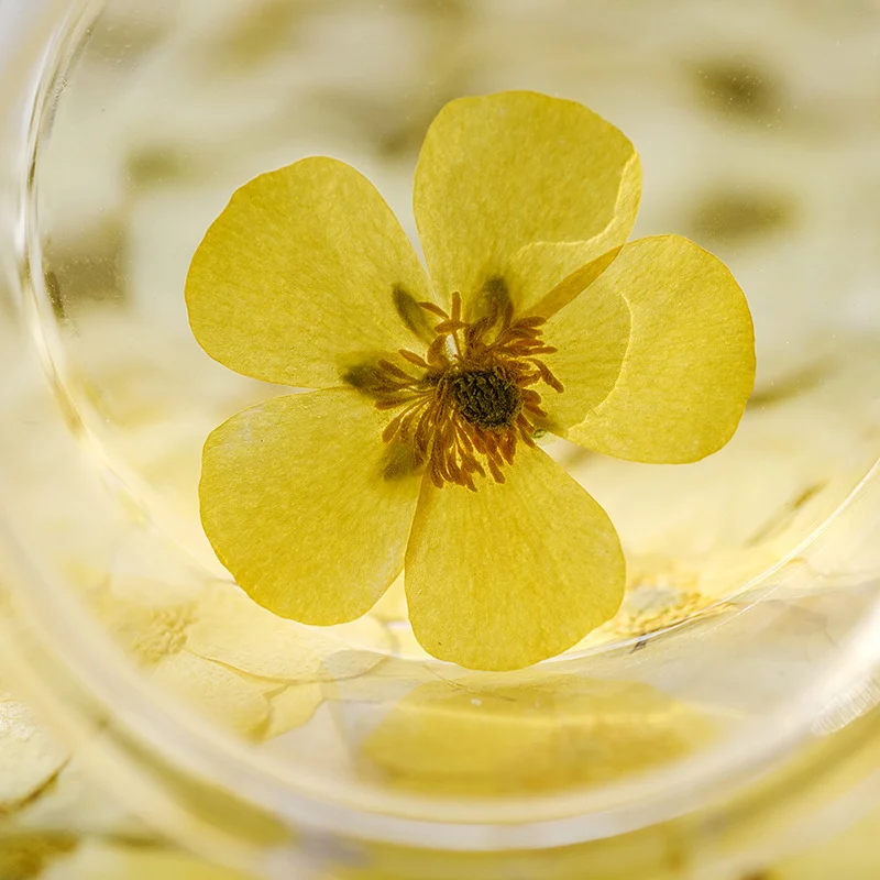 Dried Flower Bookmark - 100 Adet Kurutulmuş Ranunculus Çiçeği Preslenmiş