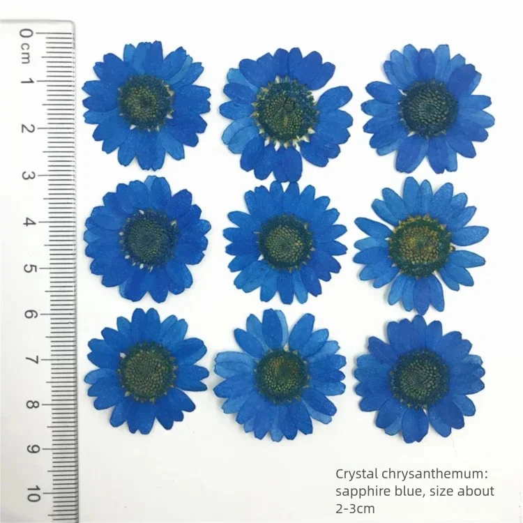 100 Adet Boyalı Krizantem Kuru - Dried Flower Bookmark incelemesi ve fiyatı