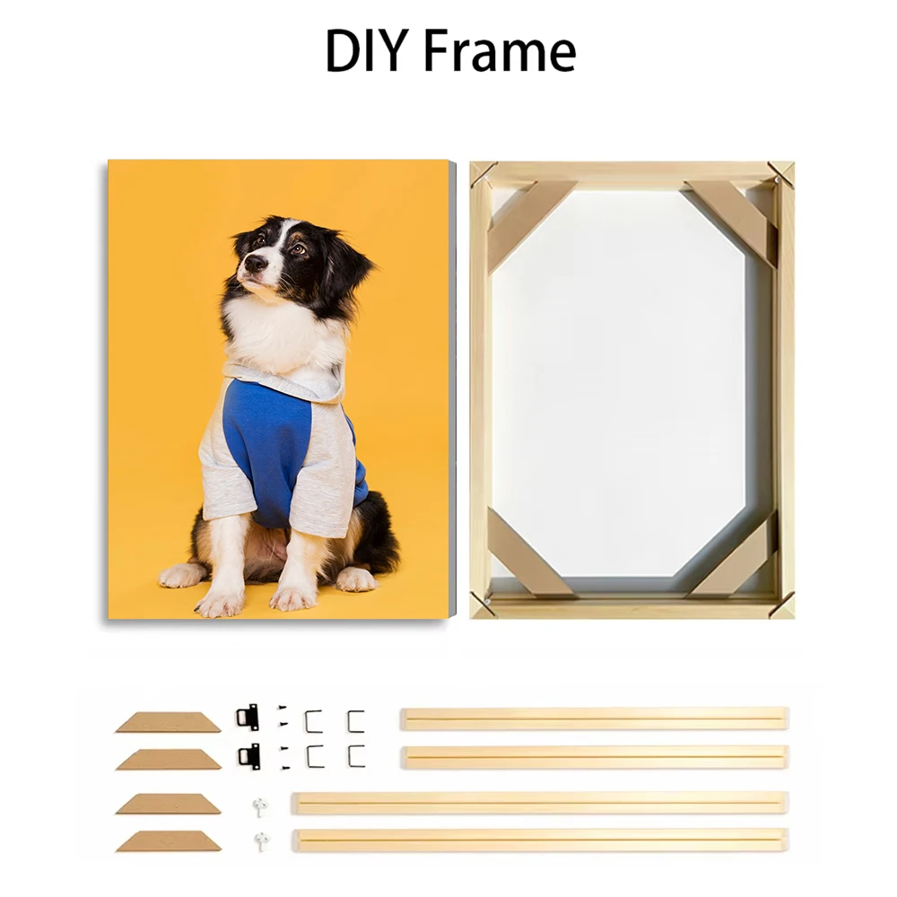 Kişiye Özel Evcil Hayvan Fotoğ - Pet Portrait Custom incelemesi ve fiyatı