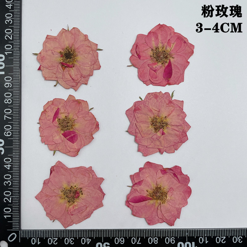 60 adet Preslenmiş Kurutulmuş  - Dried Flower Bookmark incelemesi ve fiyatı